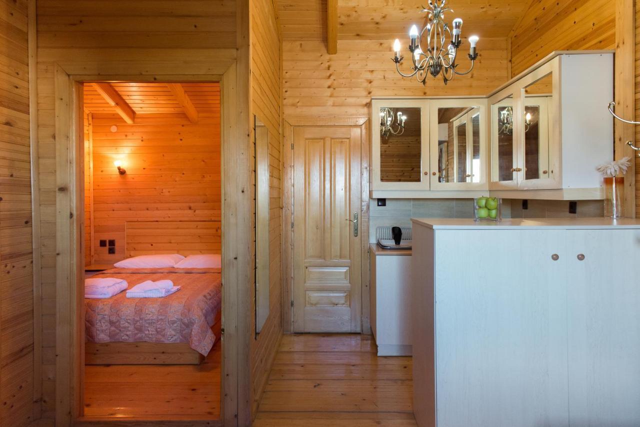 Hotel Aigli Fárszala Kültér fotó